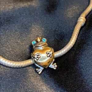 Cute charm frog prince